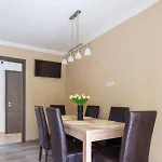 Zebra Zsory * Mezőkövesd